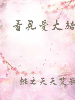 看见爱大结局