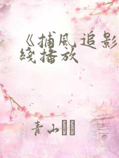 《捕风追影》在线播放