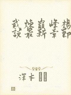 武炼巅峰杨开小说最新章节列
