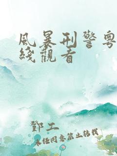 风暴刑警粤语在线观看