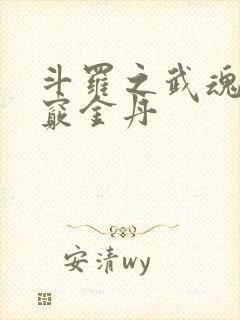 斗罗之武魂为九窍金丹
