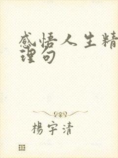 感悟人生精辟哲理句
