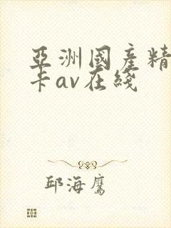 亚洲国产精品不卡av在线