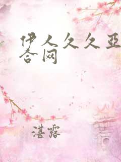 伊人久久亚洲综合网