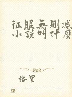 征服无删减原著小说叫什么