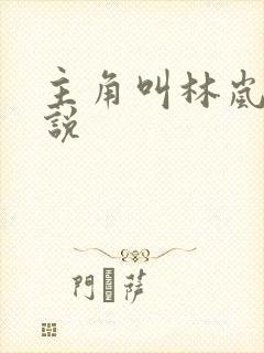 主角叫林岚的小说