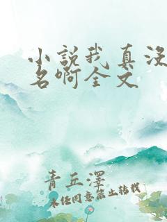 小说我真没想出名啊全文