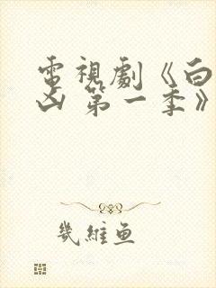 电视剧《白夜追凶 第一季》重逢版 更新