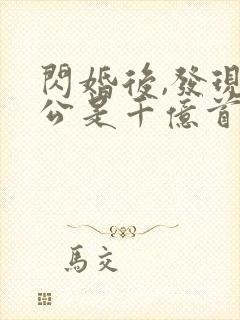 闪婚后,发现老公是千亿首富网络小说