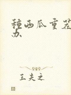 种西瓜重茬怎么办