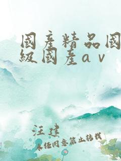 国产精品国产三级国产aⅴ