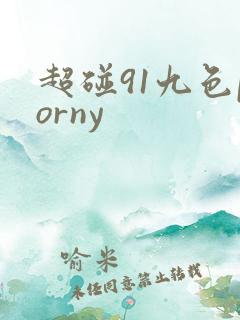 超碰91九色porny