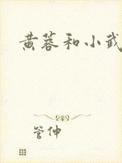 黄蓉和小武后传