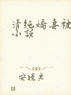 清纯娇妻被调教小说