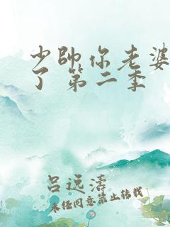 少帅你老婆又跑了 第二季