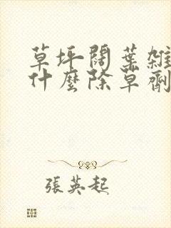 草坪阔叶杂草用什么除草剂