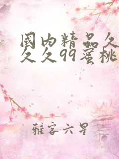 国内精品久久久久久99蜜桃