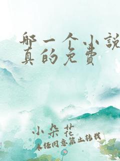哪一个小说软件真的免费
