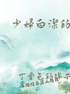 少妇白洁的淫