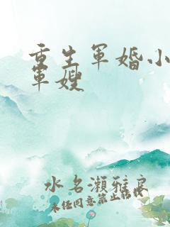 重生军婚小神医军嫂 重生军婚小神医军嫂