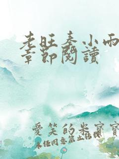 老旺秦小雨最新章节阅读