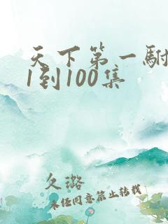 天下第一驸马爷1到100集