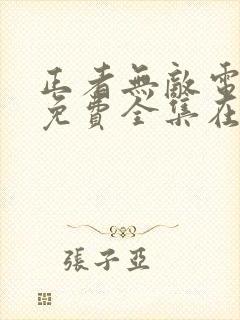 正者无敌电视剧免费全集在线观看