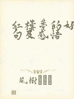 红楼梦的好词好句及感悟