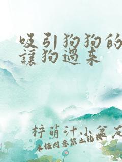 吸引狗狗的声音让狗过来