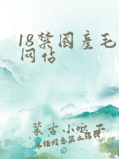 18禁国产毛片网站