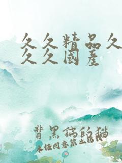 久久精品久久久久久国产