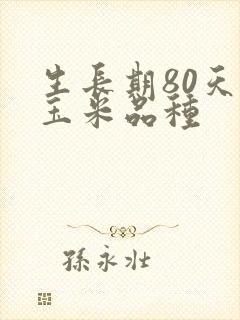 生长期80天的玉米品种