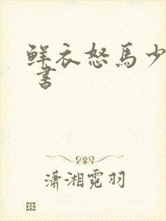 鲜衣怒马少年时 书