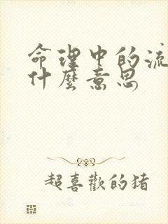 命理中的流年是什么意思