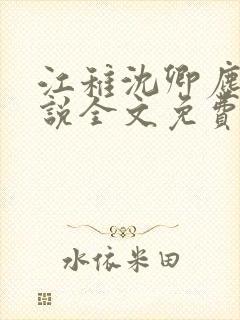 江稚沈卿尘的小说全文免费阅读最新贺