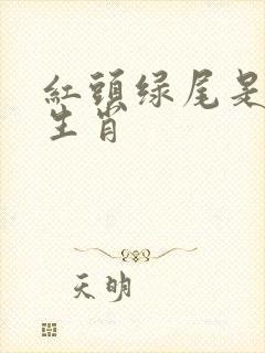 红头绿尾是什么生肖