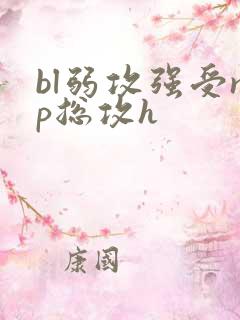 bl弱攻强受np总攻h