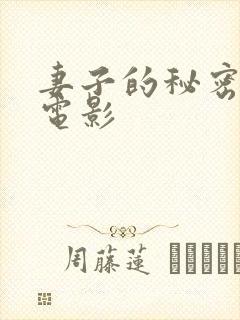 妻子的秘密1 电影