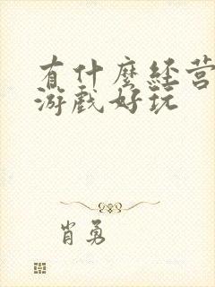 有什么经营策略游戏好玩