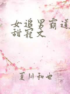 女追男霸道总裁甜宠文