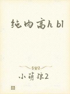 纯肉高h bl