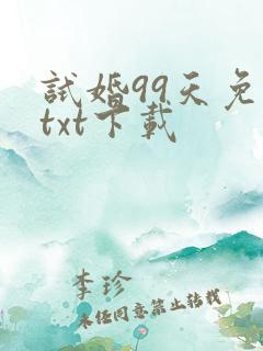 试婚99天免费txt下载