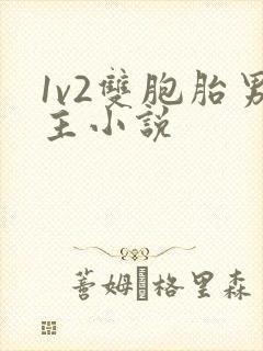 1v2双胞胎男主小说