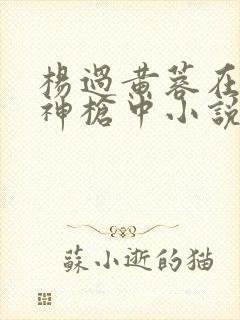 杨过黄蓉在金龙神枪中小说