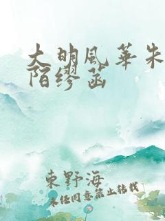 大明风华朱允傻陌缪菡 大明风华朱允傻陌缪菡