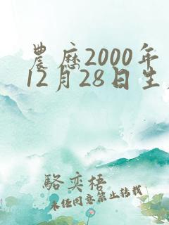 农历2000年12月28日生辰八字