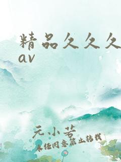 精品久久久久久av