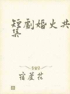短剧婚火共30集