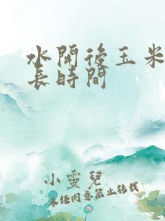 水开后玉米煮多长时间