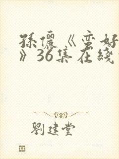 孙俪《蛮好人生》36集在线观看 孙俪《蛮好人生》36集在线观看